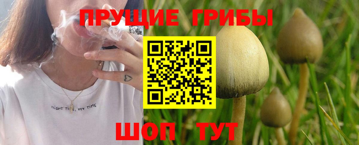 Псилоцибиновые грибы GOLDEN TEACHER  Вход с VPN  Невинномысск  Псилоцибиновые грибы мицелий 
